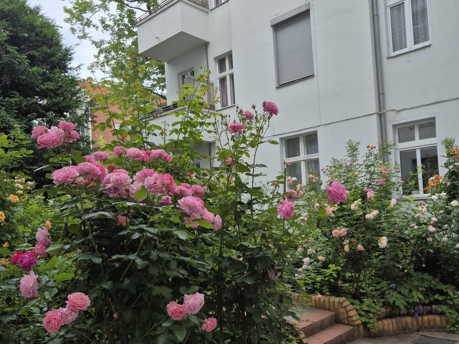 Sonniger Innenhof mit Kübelpflanzen und Baum